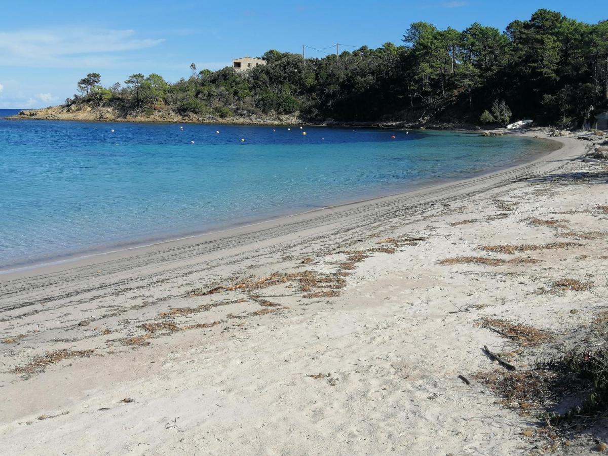 Favone Mini Villa Playa del Oro Dış mekan fotoğraf